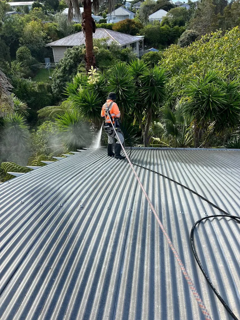 Clearing a gutter by hand in Auckland